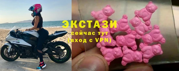 индика Мегион
