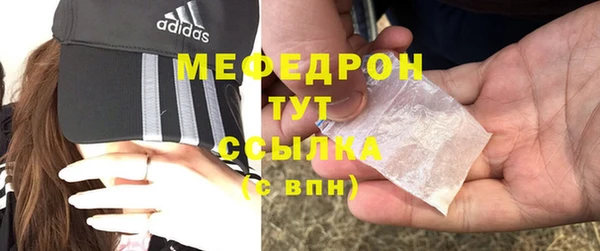индика Мегион