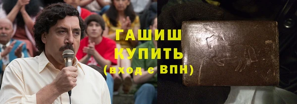 индика Мегион