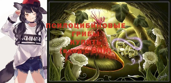 индика Мегион