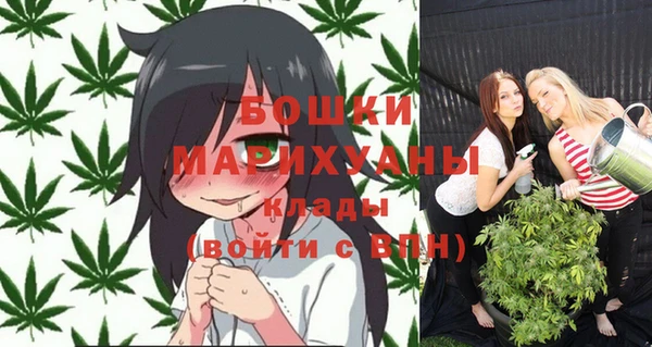 индика Остров