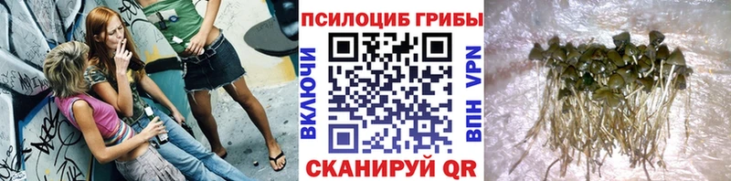 Галлюциногенные грибы GOLDEN TEACHER  Нерехта 