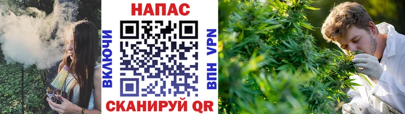 Марихуана конопля  darknet официальный сайт  Нерехта  как найти наркотики 